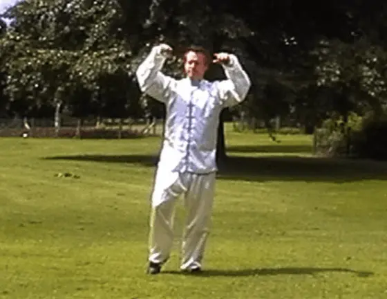 Dan Docherty Tai Chi Advanced Hand Form