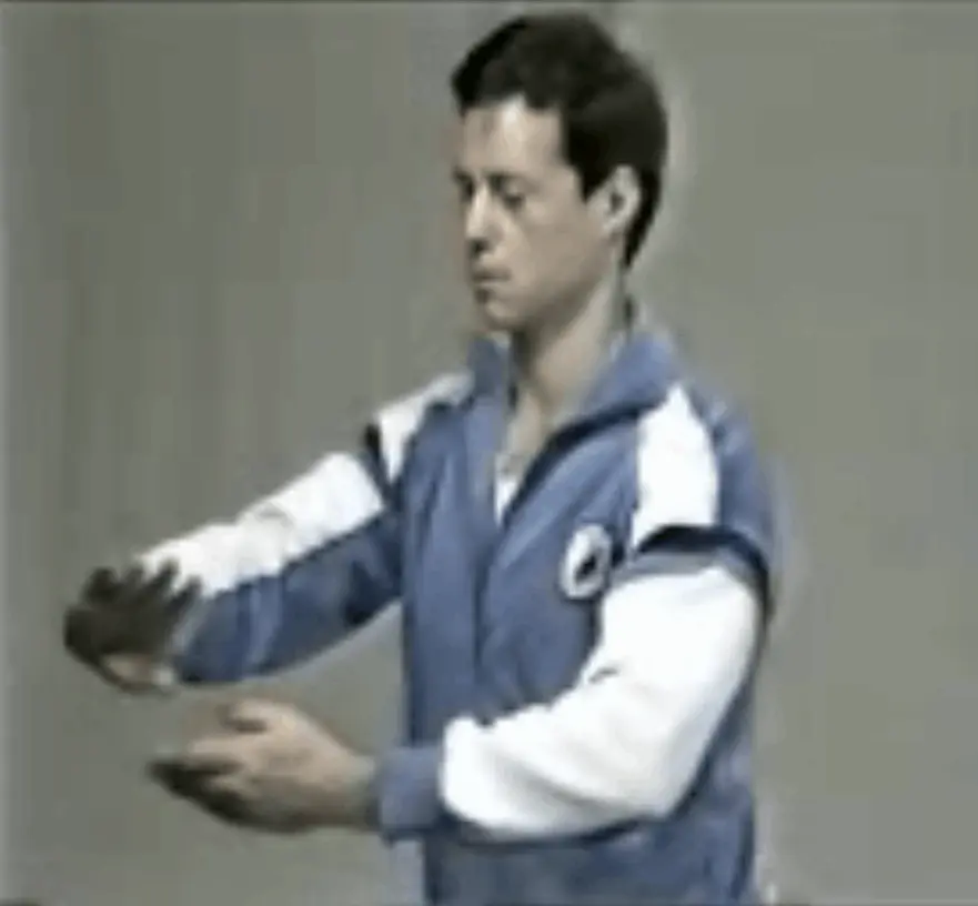 Dan Docherty Tai Chi Long Hand Form