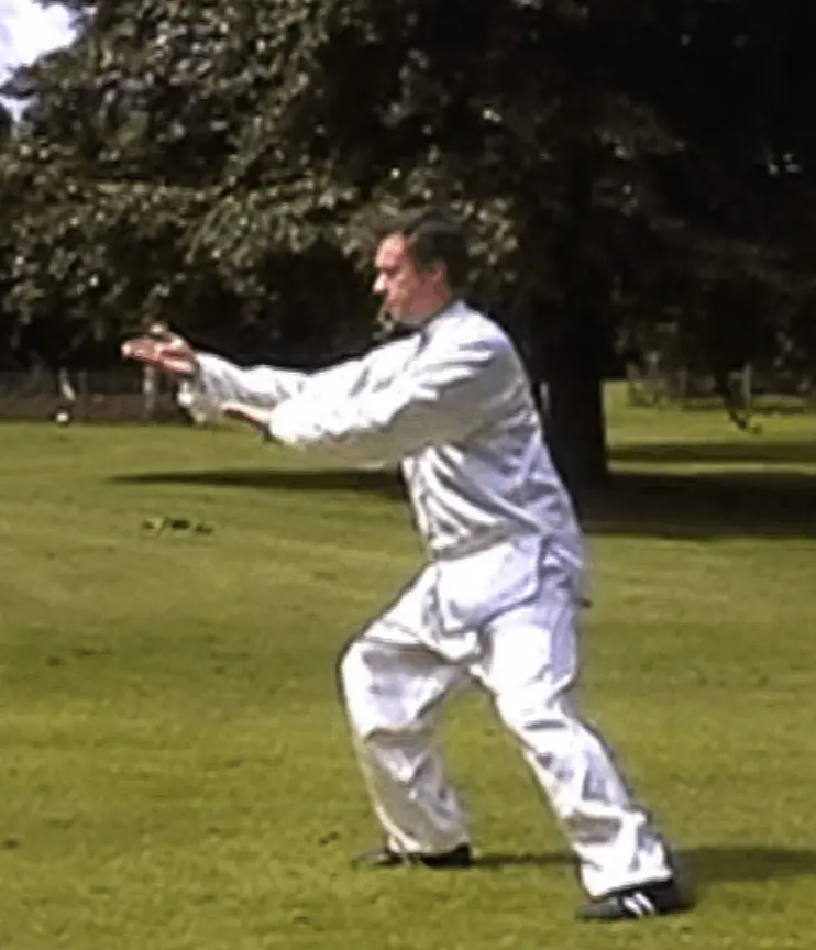 Dan Docherty Tai Chi Short Hand Form